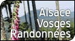 Vosges Alsace : Randonnes en montagne : Balades dans les Vosges et en Alsace