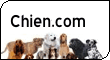 Tout sur les Chiens: Races, Standards, Photos. Annonces, Petites Annonces, Alimentation, Sant, Education du Chien et du Chiot et Sport Canin